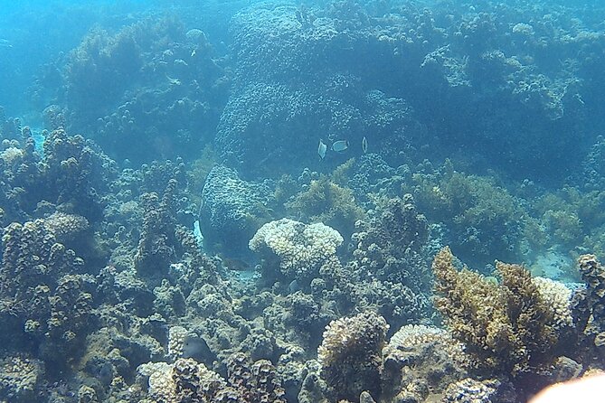 Private Half Day Sailing Excursion on the Lagoon of Tahiti - Who will enjoy this lagoon outing most