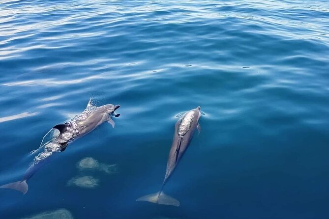 Private Half Day Sailing Excursion on the Lagoon of Tahiti - A strong choice for a relaxed Tahiti celebration