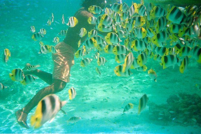 Private Half Day Sailing Excursion on the Lagoon of Tahiti - Starting at Parc Vaira’i in Punaauia