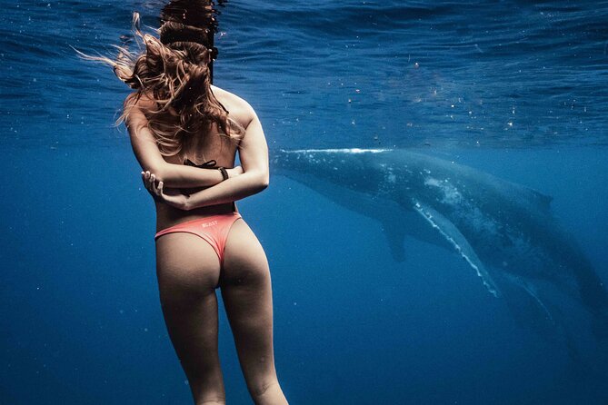 Private Half Day Whale Watching Tour - August Through November: Moorea’s Whale Season