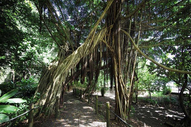 Private Island Tour ( 5 HOURS) - Taharuu Beach shows Tahiti’s black-sand coast