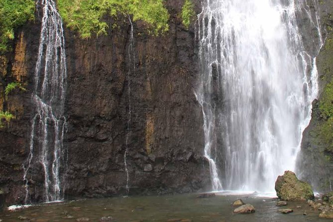 Private Island Tour ( 5 HOURS) - Vaipahi Gardens slow the pace on the southern coast
