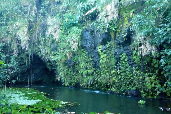 Private Island Tour ( 5 HOURS) - The guide shapes the day more than the route does