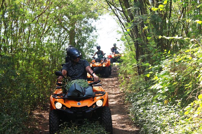 Private Island Tour by ATV / QUAD - Is $607.32 good value for two people?