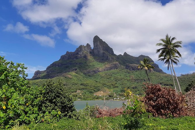 Private Island Tour by ATV / QUAD - Three off-road trails and the feel of the ride