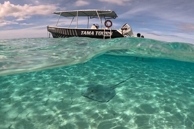 Private Lagoon Exploration and Snorkeling in Moorea - What the private price means