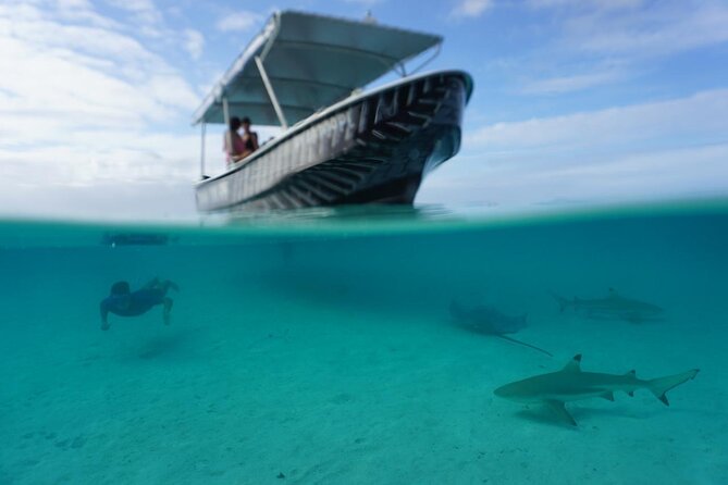 Private Lagoon Exploration and Snorkeling in Moorea - Searching for spinner dolphins at the reef edge