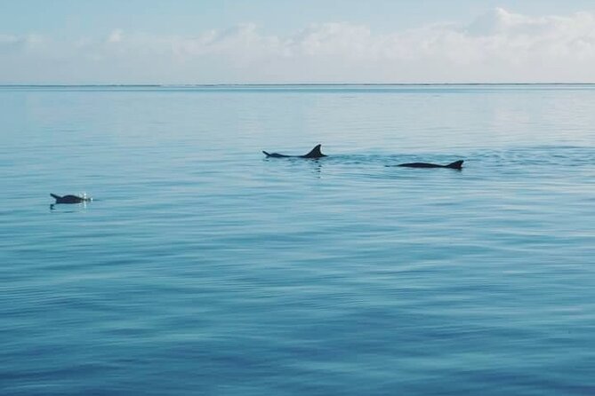 Private Marine Excursion and snorkeling in the lagoon of Moorea - Turtles, leopard rays, and a slower pace