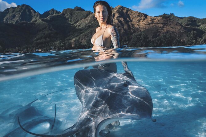 Private Marine Wildlife Adventure with Underwater Photography - Key points before you book