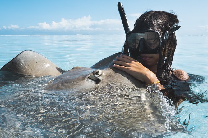 Private Marine Wildlife Adventure with Underwater Photography - Three hours across Moorea’s lagoon, pass, and outer reef