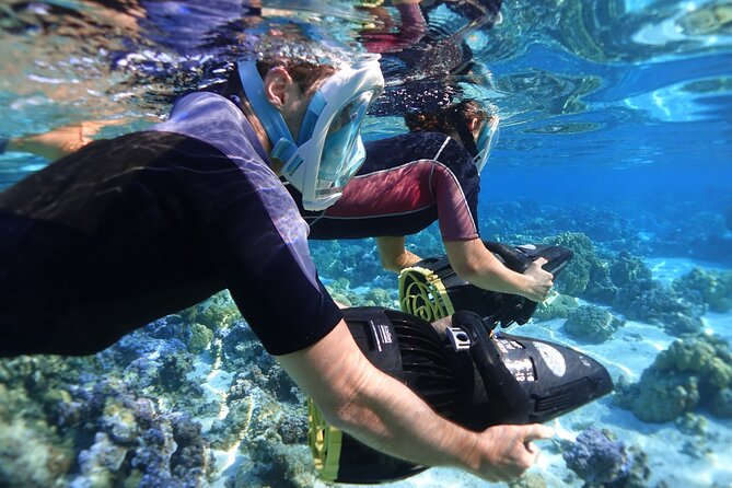 Private Marine Wildlife Adventure with Underwater Photography - What the $950 price means for your group