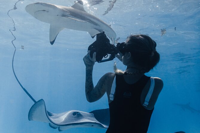 Private Marine Wildlife Adventure with Underwater Photography - Who will get the most from this Moorea tour