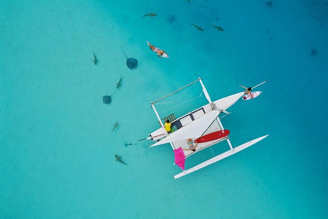 Private Moorea Discovery Half-day Sailing - Key points to know before booking