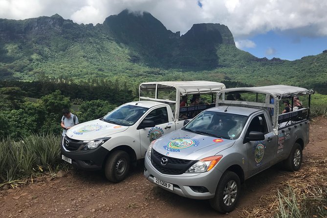 Private Morning Moorea 4WD Tour with Champagne - Who should book this experience