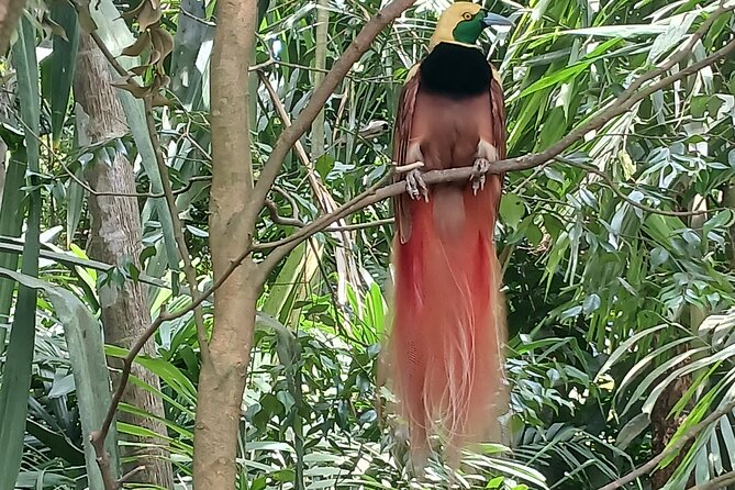 Private Port Moresby City Tour - What Daniel Adds to the Day