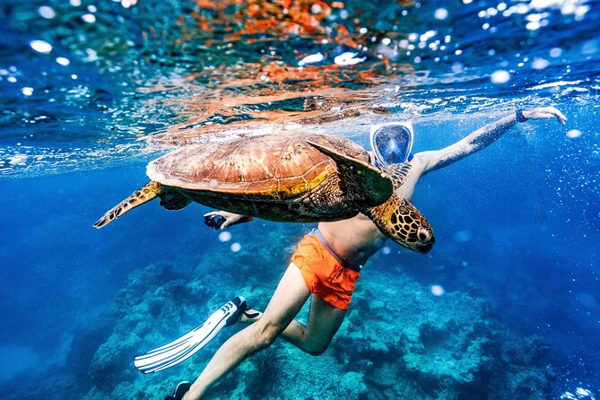 Private Rarotonga Turtle Tour - Who will enjoy this Rarotonga snorkeling tour