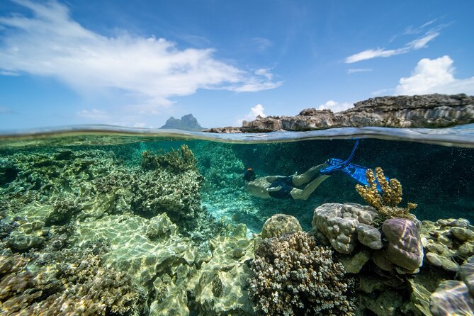 Private Reef Discovery Luxury Dream Day Tour in Bora Bora - Is $2,035.74 good value for two?
