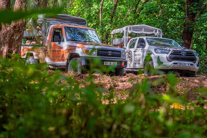 Private Safari Adventure Tour in Bora Bora with Local Guide - Who will enjoy this Bora Bora safari most