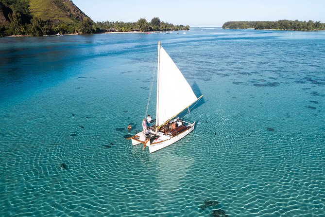 Private sailing adventure - Turtles, colorful fish, dolphins, and the wider ocean