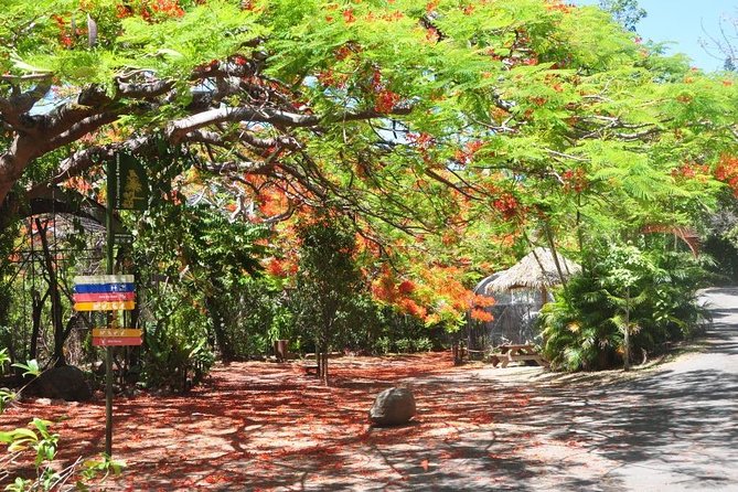 Private Sightseeing Tours - Nouméa Pas Cher-Ducos and the open-ended itinerary