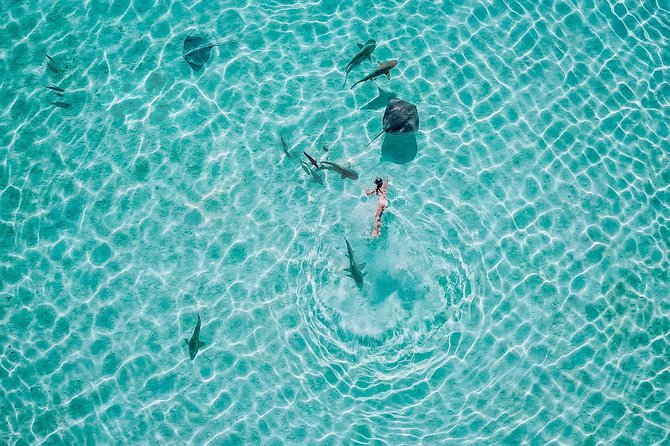 PRIVATE Sunset Tour: Moorea Snorkeling on a Catamaran named Taboo - The underwater tiki and Moorea’s marine life