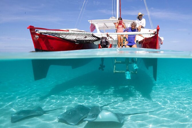 PRIVATE Sunset Tour: Moorea Snorkeling on a Catamaran named Taboo - Sailing from the coast into the lagoon