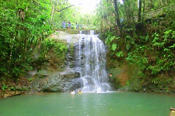 Private Suva Nature and Waterfall Tour - Who should book the Colo-I-Suva outing