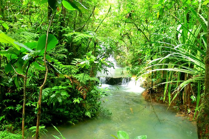Private Suva Nature and Waterfall Tour - Should you book this waterfall tour?