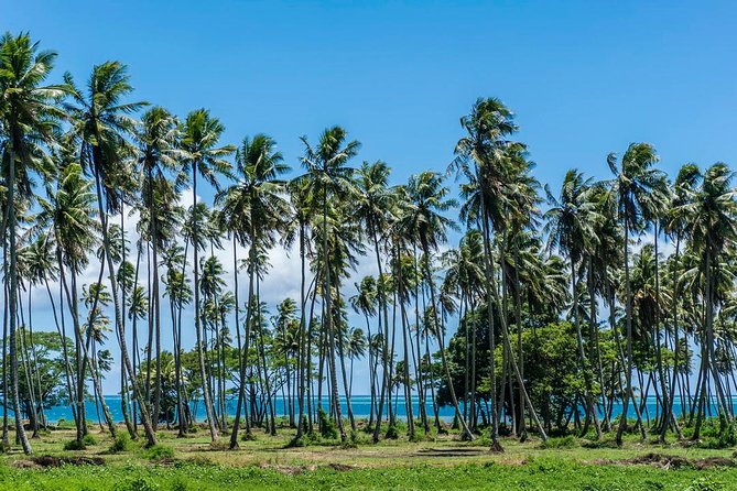 Private Tahiti Circle Island - Waterfalls, Black Sand & Views - Maraa Grotto and its volcanic rock