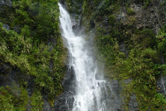 private Tahiti island discovery - The guide makes the difference
