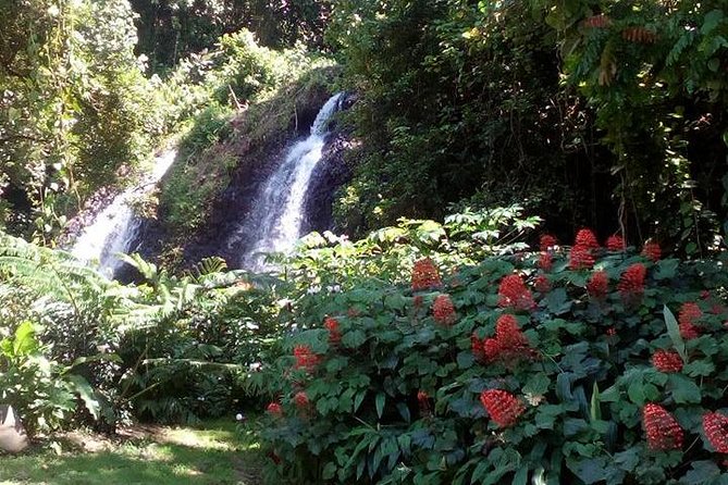 private Tahiti island discovery - Arahoho Blowhole adds a little drama