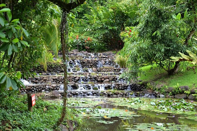 Private : Tahiti Museum & Circle Island Tour, Afternoon Tour (5h) - Vaipahi Gardens and Tahiti Iti