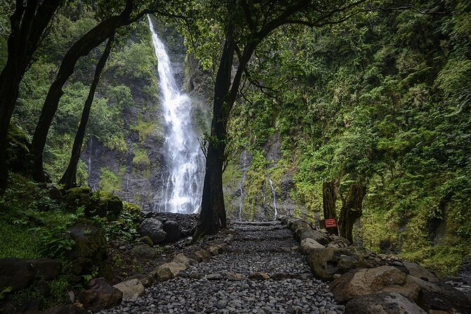 Private : Tahiti Museum & Circle Island Tour, Afternoon Tour (5h) - Point Venus and the Arahoho Blowhole