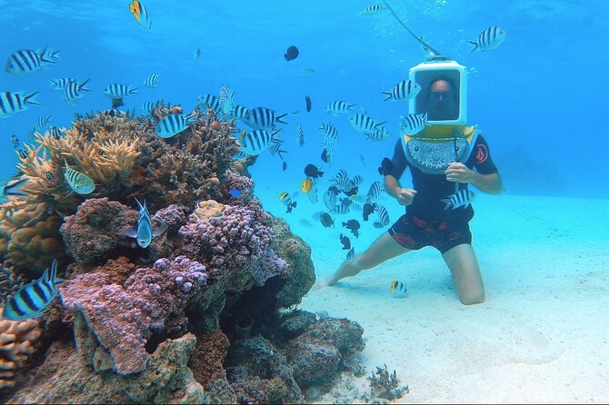 Private Tour: Aqua Safari Scuba Diving - Safety, comfort, and who should choose it