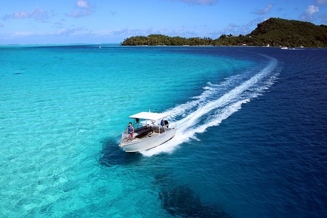 Private Tour: Aqua Safari Scuba Diving - A good first step for nervous beginners