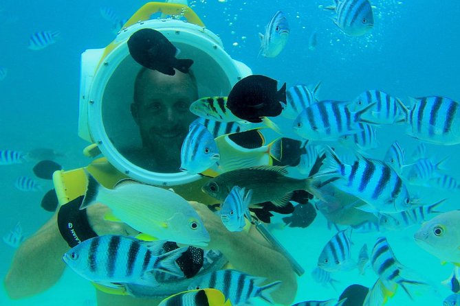 Private Tour: Aqua Safari Scuba Diving - Timing, weather, and cancellation