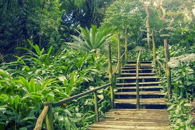 Private Tour: Best of Nadi Highlights - Markets, crafts, and everyday Nadi