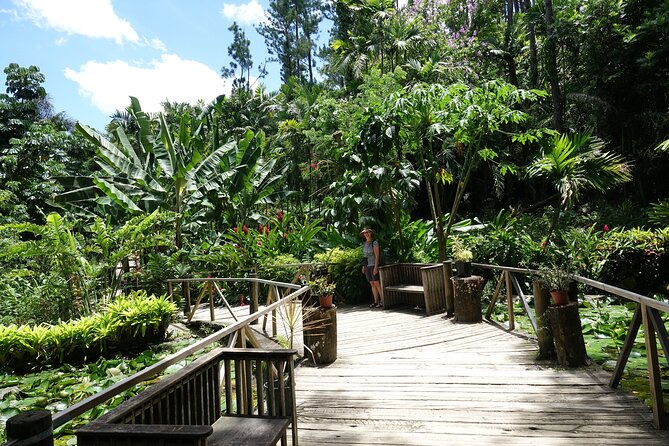 Private Tour: Best of Nadi Highlights - Viseisei Village and Fiji’s early story