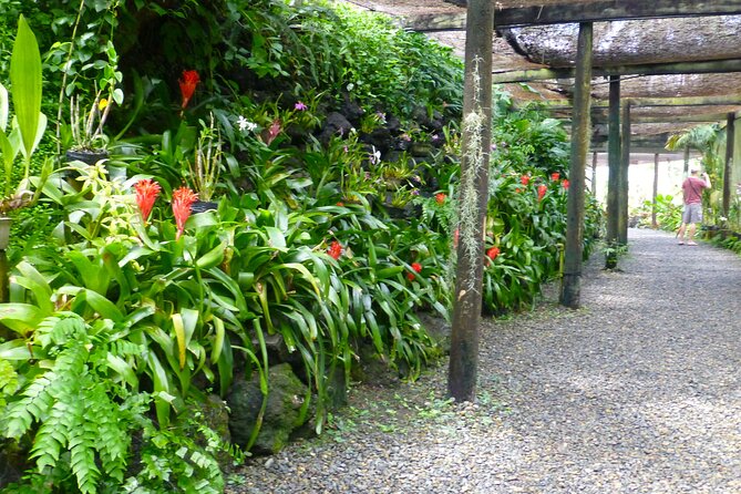 Private Tour: Best of Nadi Highlights - The guides make the difference