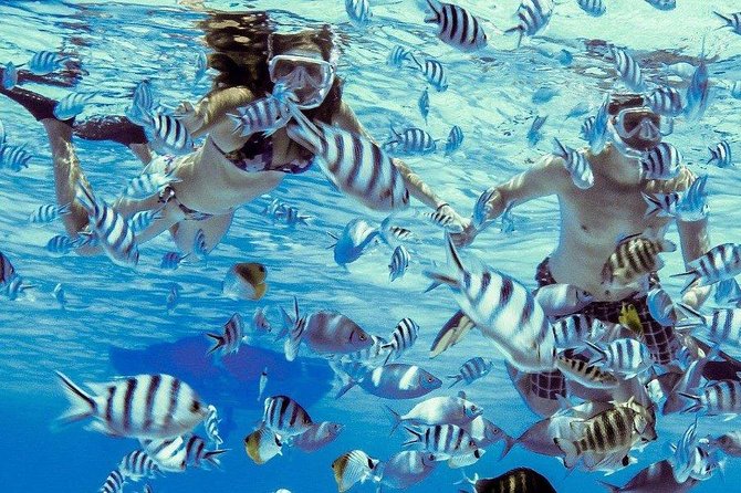 Private Tour: Bora Bora Lagoon Eco Snorkel Cruise - 3hrs or 6hrs - A private start on Bora Bora’s lagoon