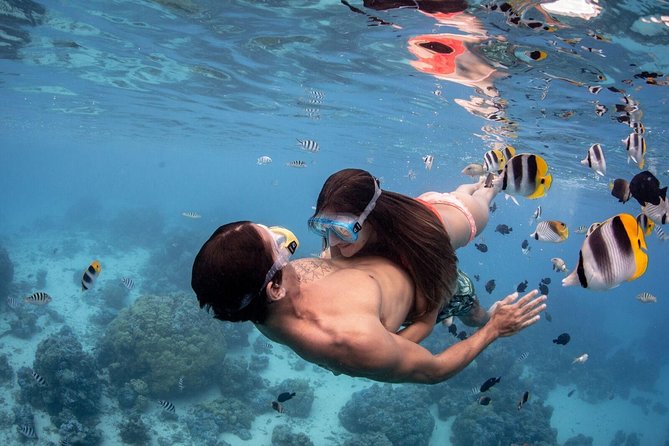 Private Tour: Bora Bora Lagoon Eco Snorkel Cruise - 3hrs or 6hrs - The six-hour version adds a private-island lunch