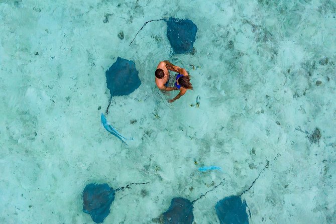 Private Tour: Bora Bora Lagoon Eco Snorkel Cruise - 3hrs or 6hrs - What the $346.08 price means