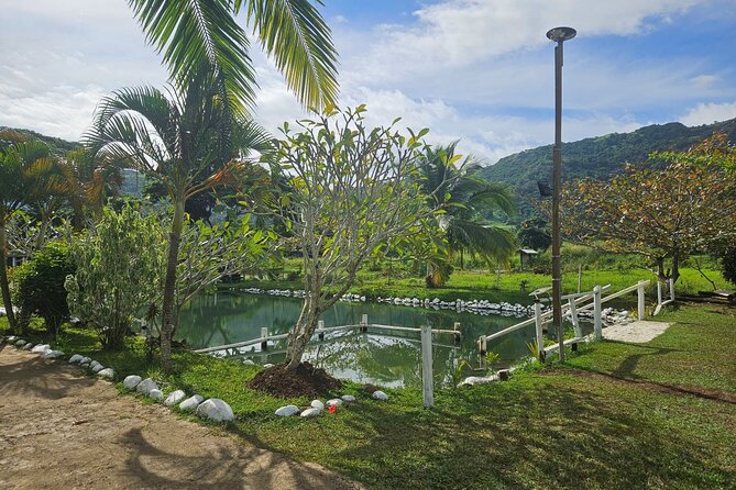 Private Tour: Hot spings & Sleeping Giant Garden hiking Adventure - Why a private driver changes the experience
