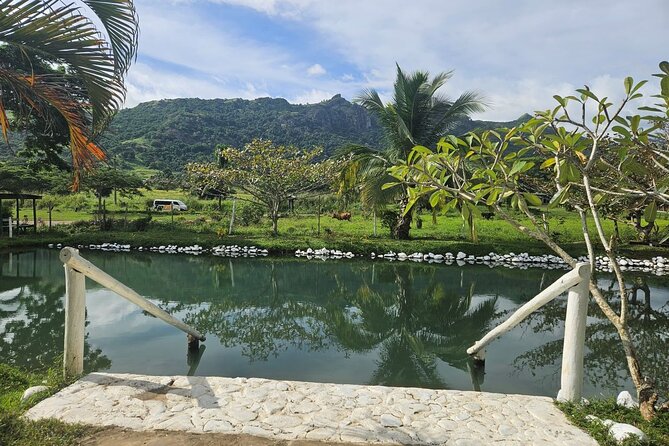 Private Tour: Hot spings & Sleeping Giant Garden hiking Adventure - Is $82.31 per person good value?
