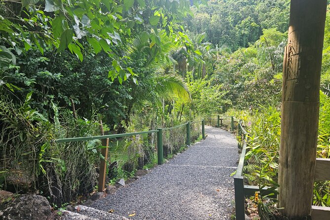 Private Tour: Hot spings & Sleeping Giant Garden hiking Adventure - Timing, clothing, and what to carry