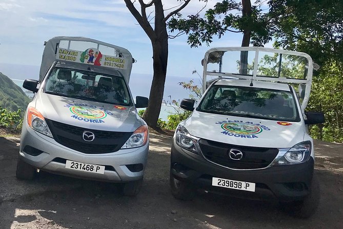 Private Tour Moorea 4WD - Belvedere Pineapple Farm, Magic Mount. - Moorea Tropical Garden turns scenery into local detail