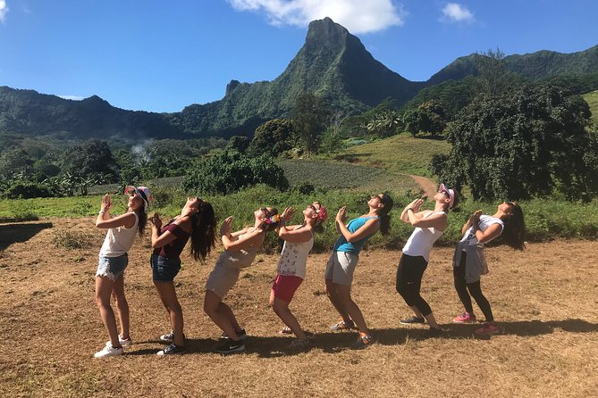 Private Tour Moorea 4WD - Belvedere Pineapple Farm, Magic Mount. - Pineapple fields show Moorea’s working interior