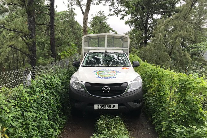 Private Tour Moorea 4WD - Belvedere Pineapple Farm, Magic Mount. - Who gets the best value from the $500 price
