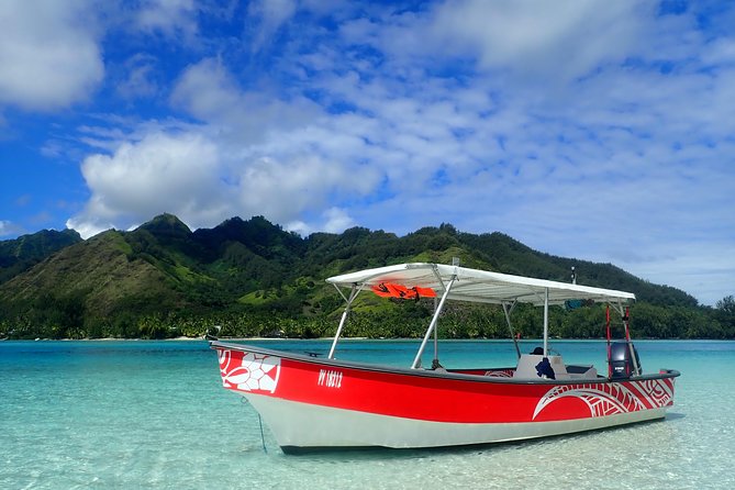 Private tour observing and swimming with humpback whales in Moorea - Getting the best value from $1,640