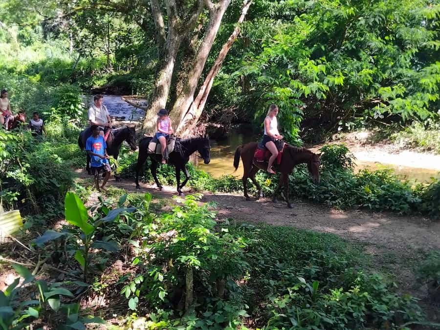 Private Tour: Pacific's Largest Dunes & Famous Waterfall - The Biausevu trek and waterfall swim
